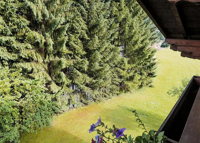 In Apartment Flachau